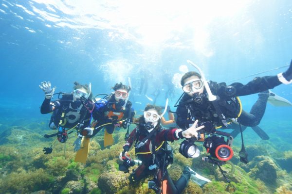 水中でポーズをとる4人のダイバー